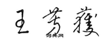 駱恆光王芳獲草書個性簽名怎么寫