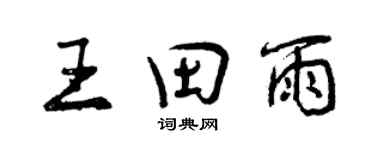 曾慶福王田雨行書個性簽名怎么寫