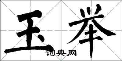 翁闓運玉舉楷書怎么寫