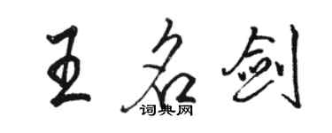 駱恆光王名劍行書個性簽名怎么寫