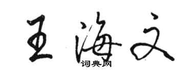 駱恆光王海文行書個性簽名怎么寫