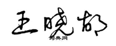 曾慶福王曉胡草書個性簽名怎么寫