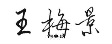 駱恆光王梅景行書個性簽名怎么寫