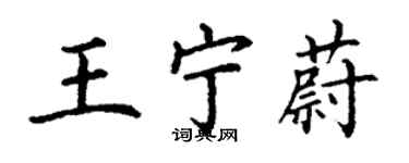 丁謙王寧蔚楷書個性簽名怎么寫