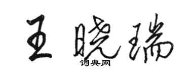 駱恆光王曉瑞行書個性簽名怎么寫