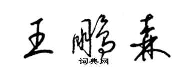 梁錦英王鵬森草書個性簽名怎么寫