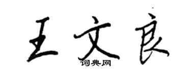王正良王文良行書個性簽名怎么寫