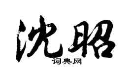 胡問遂沈昭行書個性簽名怎么寫
