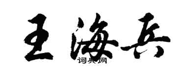 胡問遂王海兵行書個性簽名怎么寫