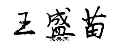 曾慶福王盛苗行書個性簽名怎么寫