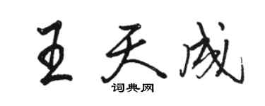 駱恆光王天成行書個性簽名怎么寫