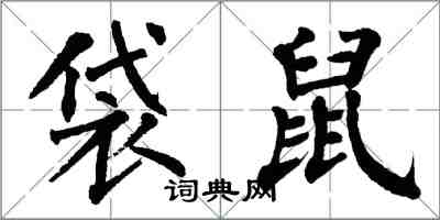 翁闓運袋鼠楷書怎么寫