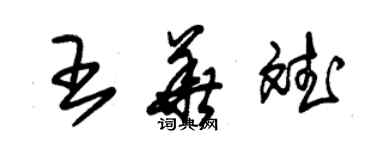 朱錫榮王華斌草書個性簽名怎么寫