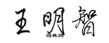駱恆光王明智行書個性簽名怎么寫