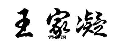 胡問遂王家凝行書個性簽名怎么寫
