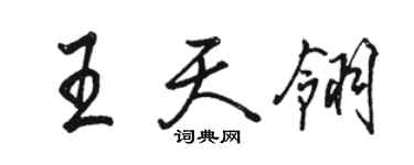 駱恆光王天翎行書個性簽名怎么寫