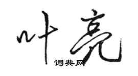 駱恆光葉亮行書個性簽名怎么寫