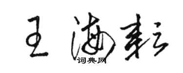 駱恆光王海耘草書個性簽名怎么寫