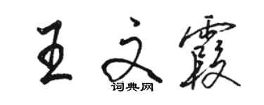 駱恆光王文霞行書個性簽名怎么寫