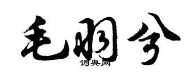 胡問遂毛羽兮行書個性簽名怎么寫