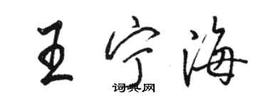 駱恆光王寧海行書個性簽名怎么寫