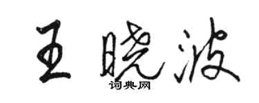 駱恆光王曉波行書個性簽名怎么寫