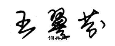 朱錫榮王翼芬草書個性簽名怎么寫