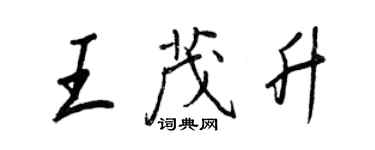 王正良王茂升行書個性簽名怎么寫