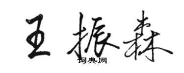 駱恆光王振森行書個性簽名怎么寫