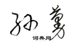 駱恆光孫蔓草書個性簽名怎么寫