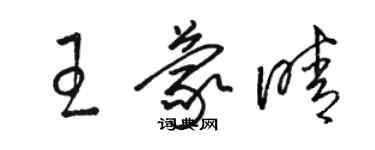 駱恆光王蒙晴草書個性簽名怎么寫