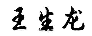 胡問遂王生龍行書個性簽名怎么寫