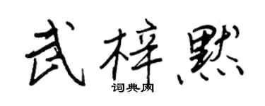 王正良武梓默行書個性簽名怎么寫