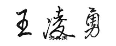 駱恆光王凌勇行書個性簽名怎么寫