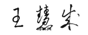 駱恆光王慧成草書個性簽名怎么寫