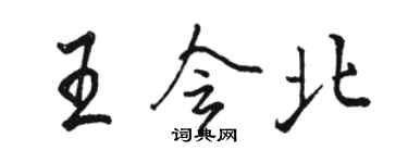 駱恆光王會北行書個性簽名怎么寫