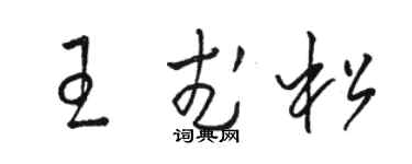 駱恆光王武松草書個性簽名怎么寫