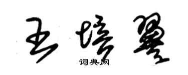 朱錫榮王培翼草書個性簽名怎么寫