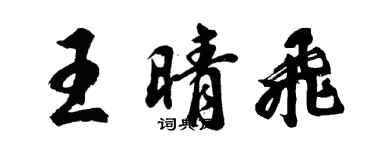 胡問遂王晴飛行書個性簽名怎么寫
