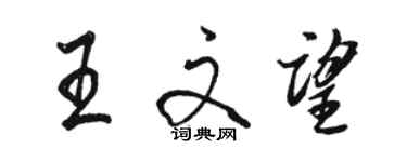 駱恆光王文望行書個性簽名怎么寫