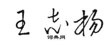 駱恆光王志楊草書個性簽名怎么寫