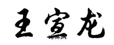 胡問遂王宣龍行書個性簽名怎么寫