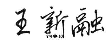 駱恆光王新融行書個性簽名怎么寫
