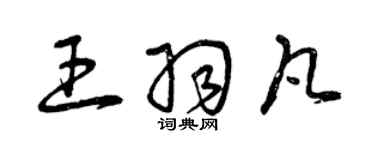 曾慶福王羽凡草書個性簽名怎么寫