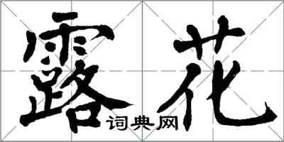 翁闓運露花楷書怎么寫