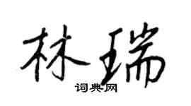 王正良林瑞行書個性簽名怎么寫