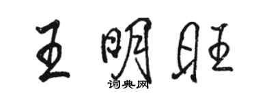 駱恆光王明旺行書個性簽名怎么寫