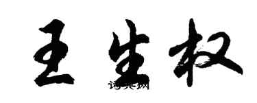 胡問遂王生權行書個性簽名怎么寫