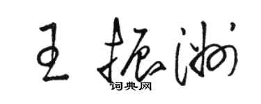 駱恆光王振洲草書個性簽名怎么寫