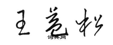 駱恆光王益松草書個性簽名怎么寫